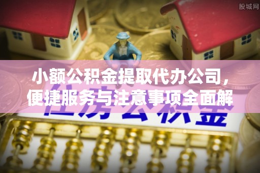 滨海小额公积金提取代办公司，便捷服务与注意事项全面解析