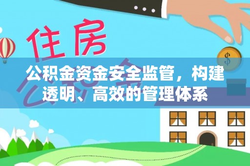 滨海公积金资金安全监管，构建透明、高效的管理体系
