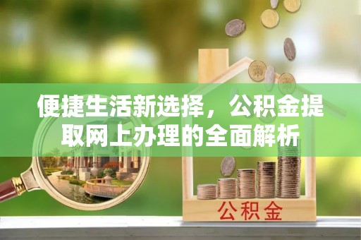 滨海便捷生活新选择，公积金提取网上办理的全面解析