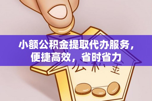 滨海小额公积金提取代办服务，便捷高效，省时省力