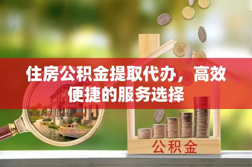 滨海住房公积金提取代办，高效便捷的服务选择