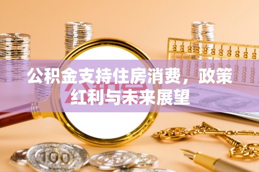 滨海公积金支持住房消费，政策红利与未来展望