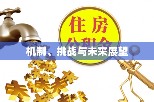 滨海机制、挑战与未来展望