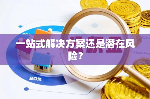 滨海一站式解决方案还是潜在风险？